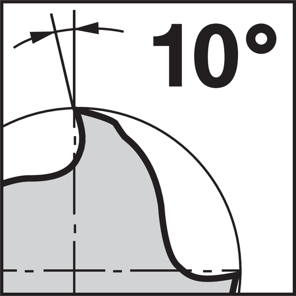 Pikto Rückspanwinkel: 10