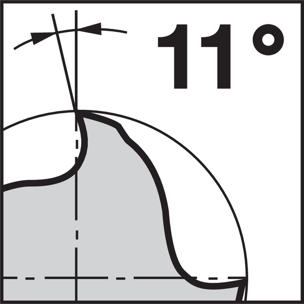 Pikto Rückspanwinkel: 11