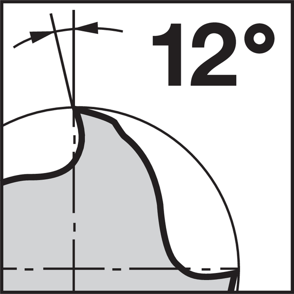 Pikto Rückspanwinkel: 12