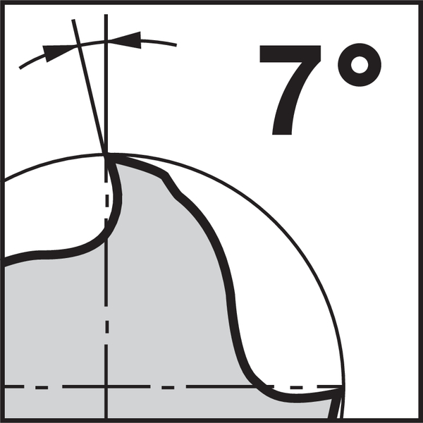 Pikto Rückspanwinkel: 7