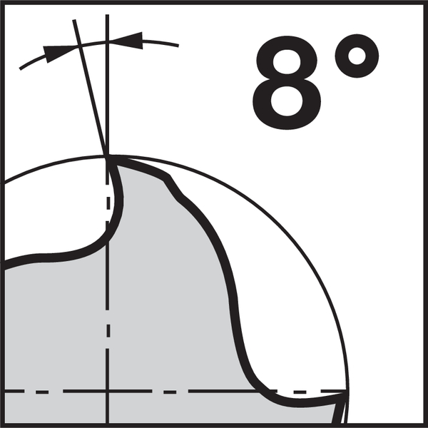 Pikto Rückspanwinkel: 8