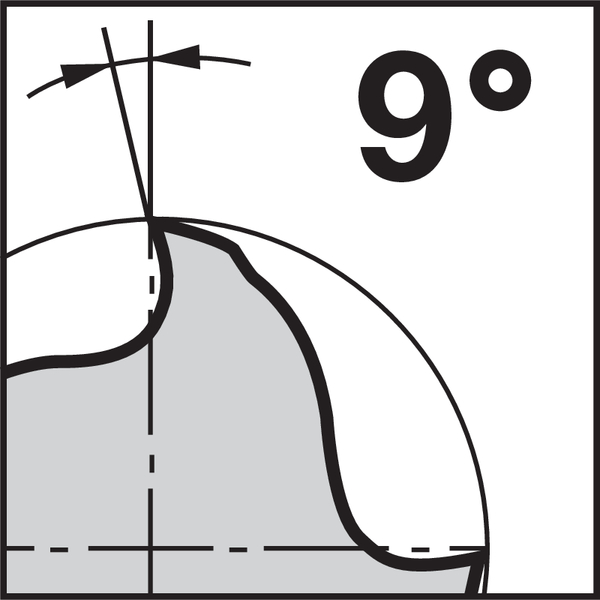 Pikto Rückspanwinkel: 9