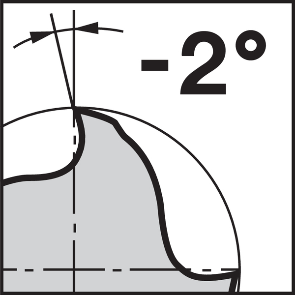 Pikto Rückspanwinkel: -2